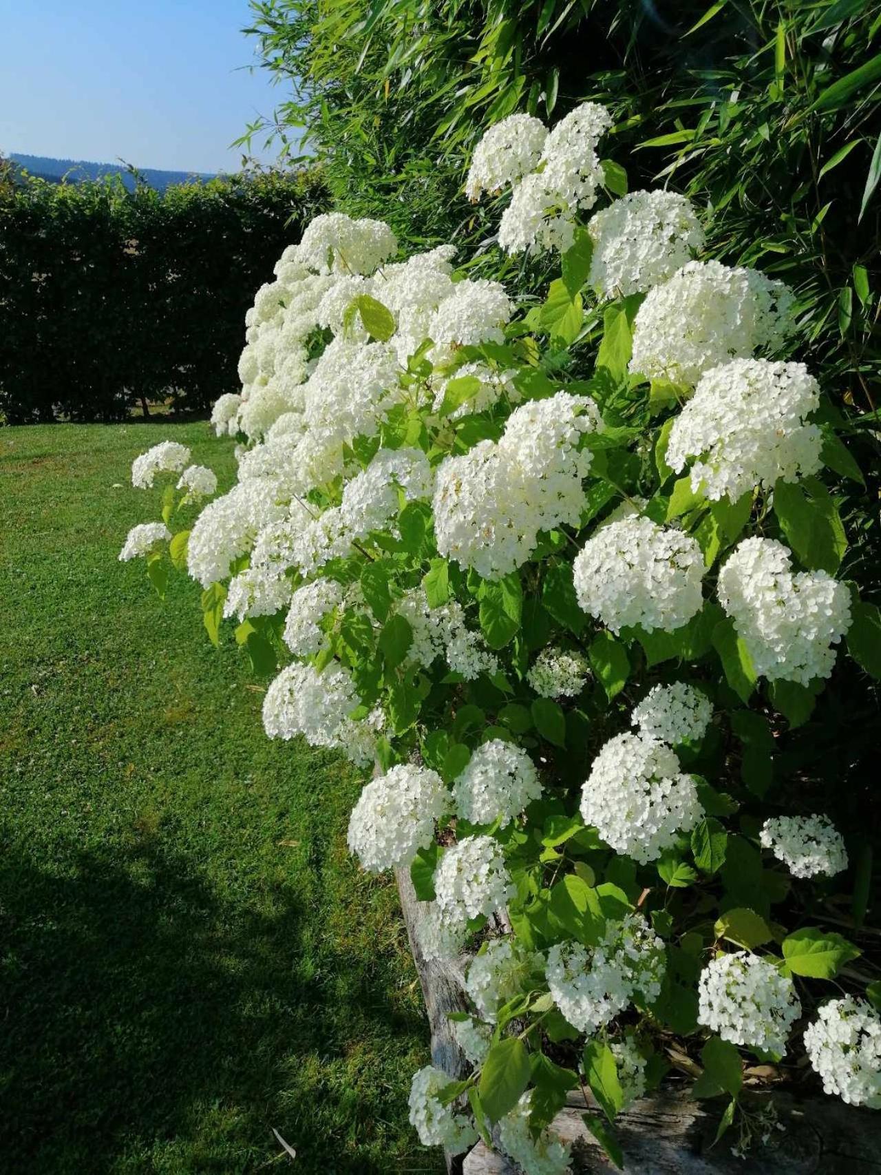 La Lande Seche Ξενοδοχείο Lainsecq Εξωτερικό φωτογραφία