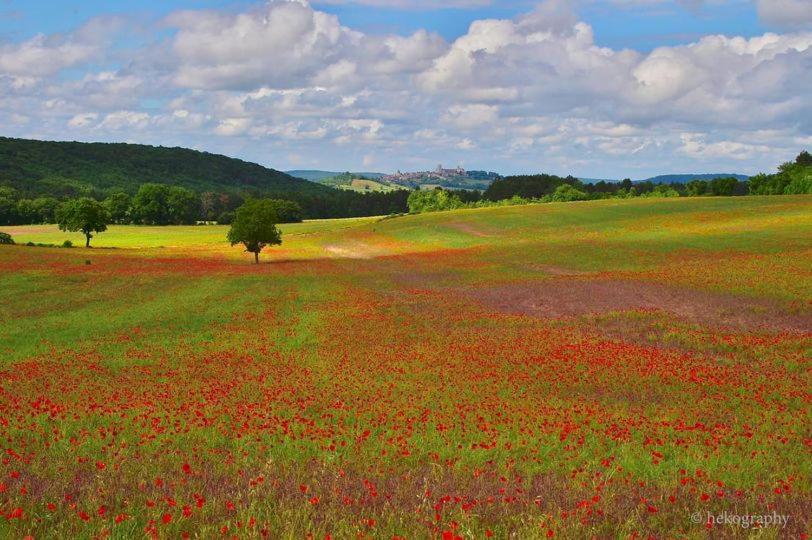 La Lande Seche Ξενοδοχείο Lainsecq Εξωτερικό φωτογραφία