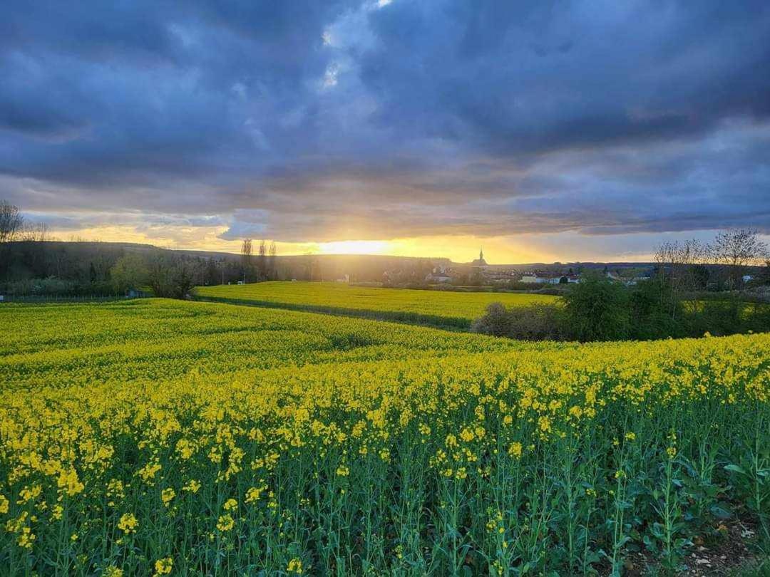 La Lande Seche Ξενοδοχείο Lainsecq Εξωτερικό φωτογραφία